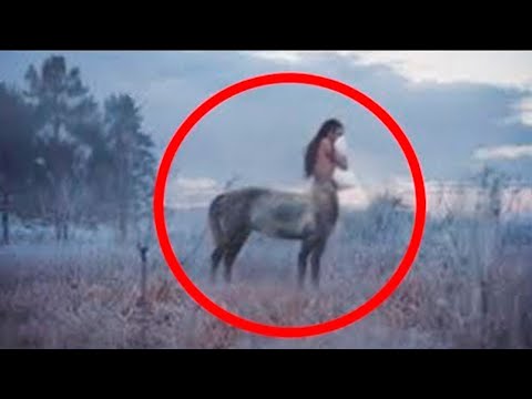 ユニコーンは存在しますか、それともかつて存在したことがありますか?