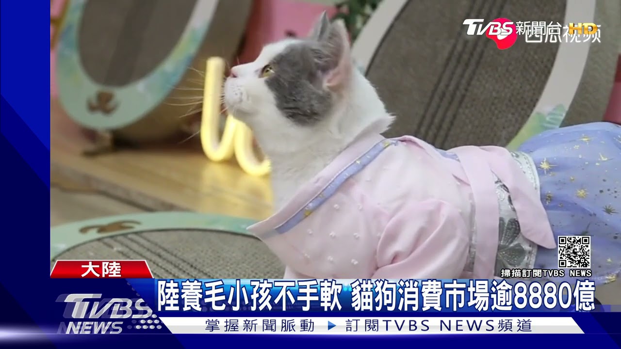 陸青年賣「寵物奶茶」 推北京烤鴨、鮭魚口味