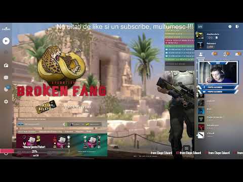 Live alaturi de Parliti