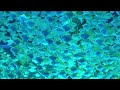 Built To Last Instrumental Copyright Free Music NoCopyrightSounds