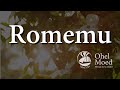 Romemu (Exáltenlo) con letra - Craig Taubman - Comunidad Ohel Moed