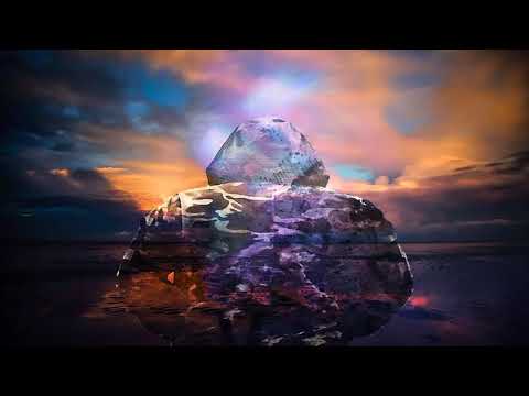 Cee The Proof S T K {Stop The Killing}