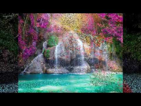 Iveta Sunyata - IDE WERE WERE