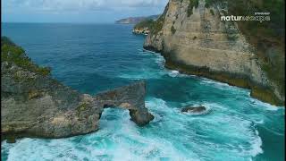 Stingray Naturescape 4K (June 4, 2025)