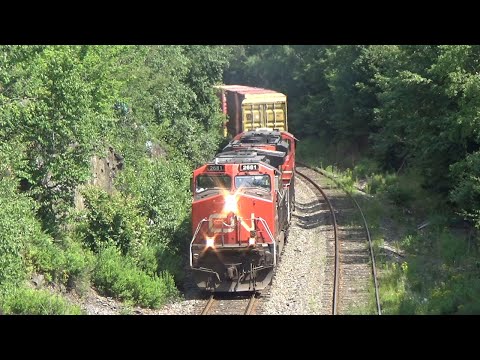 Friendly Horn Toot! Local Transfer Stack Train CN 519 passing thru Rock Cut at Halifax, NS