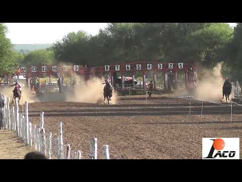 CORRE NIÑO HIPODROMO PANGARE CRUZ DEL EJE 24 04 2022