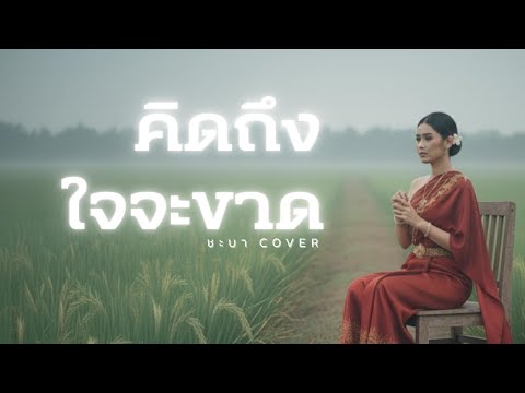 คิดถึงใจจะขาด  - ชะบา【 Cover Version 】Original : ไชโย ธนาวัฒน์ #เสียงซอเพราะๆ