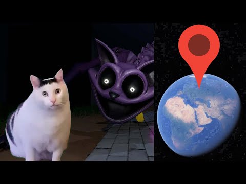 Catnap Chase Vs Chipi Chapa Huh Cat on Google Earth!