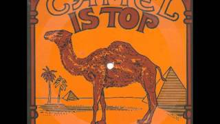 Krokodil camel is top