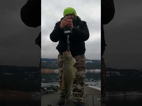 HUGE 9 Pound Smallmouth Bass Caught on Camera