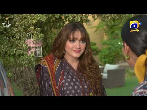 Grift 𝗡𝗲𝘄 𝗣𝗿𝗼𝗺𝗼 Mega Episode 11 | Ali Abbas | Saniya Shamshad | Momina Iqbal | HAR PAL GEO