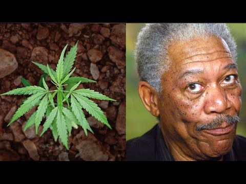 Morgan Freeman plea for pot legalization: 'I'll Eat It, Drink It, Smoke It, Snort It'