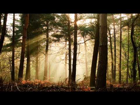 Standing Outside a Broken Phone Booth with Money in My Hand