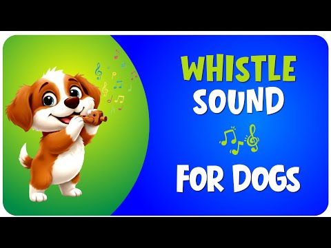 Whistle Sounds For Dogs - Watch How Your Dog Reacts!