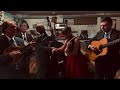 Dim Lights, Thick Smoke (And Loud, Loud Music) - The Tennessee Bluegrass Band