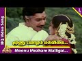 Moonu Mozham Malliyappoo Video Song Senathipathi Movie Songs Sathyaraj Sukanya SPB Deva