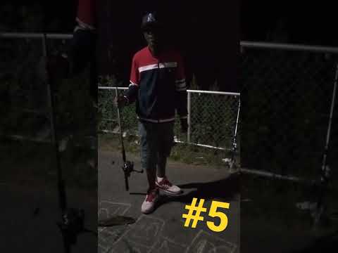 Last catch of the night! #5 🪝 on the Delaware w/Lorenzo 🏆