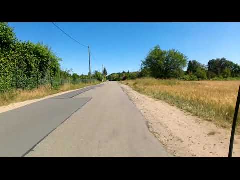 Bicycle Rhein Main #2 Schwanheimer Wald