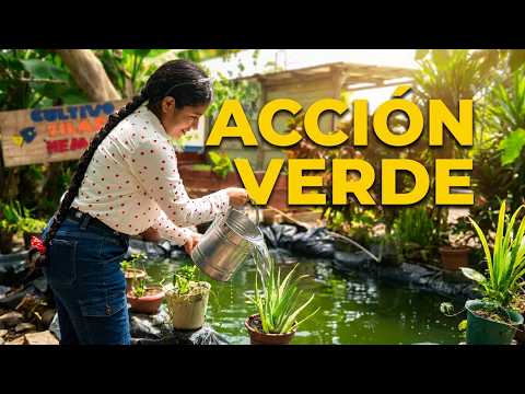 Implementación de acciones ambientales UGA San Miguelito