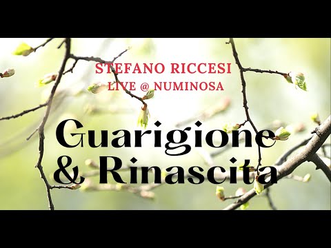 Guarigione e rinascita | S. Riccesi