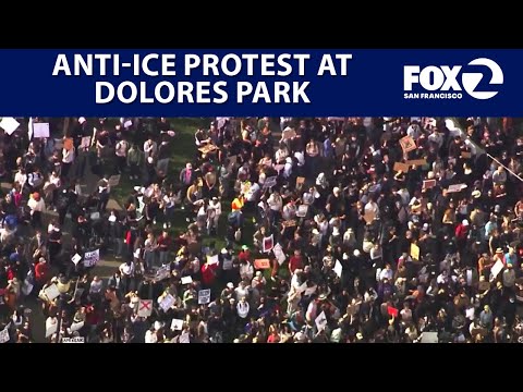 Massive Anti-ICE protest at San Francisco's Dolores Park | KTVU