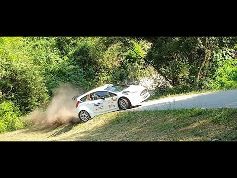 36° Rally della Marca 2019 - C.I. WRC Show and Mistake