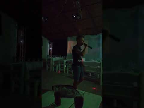 Sting - Shape of me heart (cover Nesterchuk)