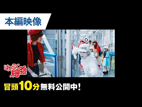 無料冒頭10分映像