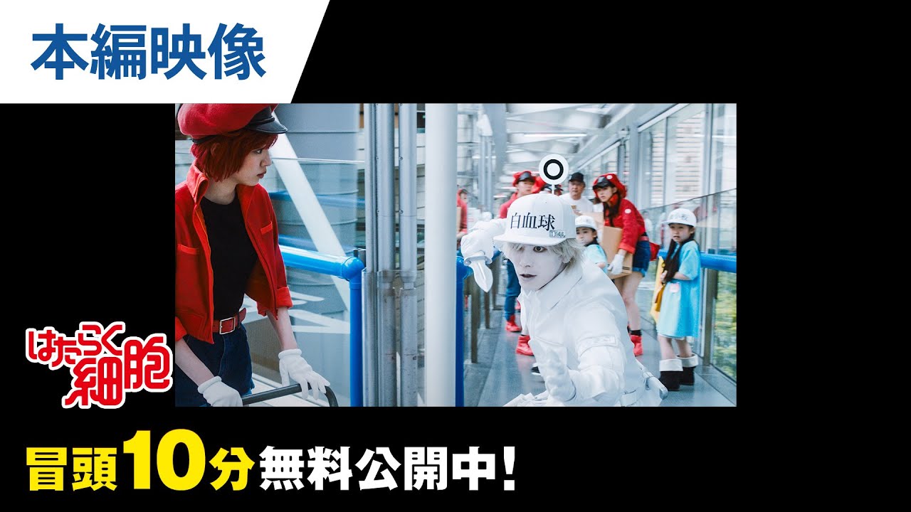 動画を再生する