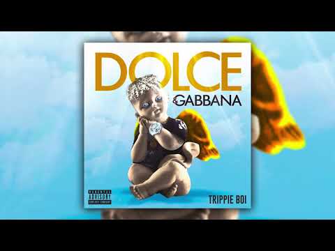 Trippie Boi - Dolce Gabbana (Official Audio)