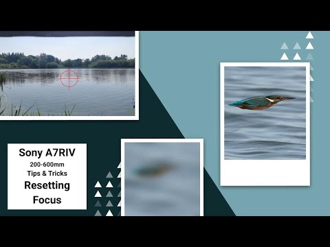Sony A7RIV 200-600mm  - Tips & Tricks - Resetting Focus