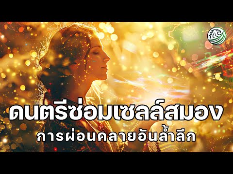 ดนตรีซ่อมเซลล์สมอง เข้าสู่การผ่อนคลายอันล้ำลึก ดนตรีผ่อนคลายสมอง ดนตรีบำบัดสมอง Brain wave music