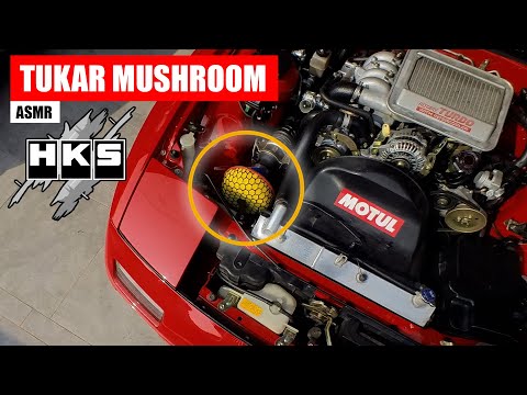 Jom Tukar HKS Air Filter