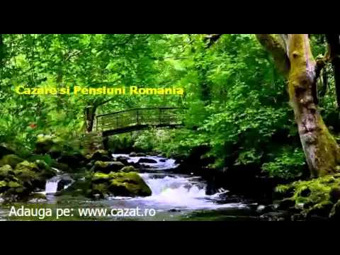 Cazare Rotopanesti, Suceava - Cazat.ro