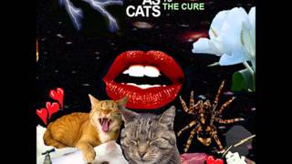 Rainbow Arabia - Six Different Ways (Música)