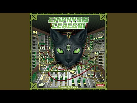 Crazy Taxi (Original Mix)