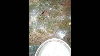 HOW TO USE THUNDERSTONE TO GET RID OF CHARMS IN YOUR SHOP