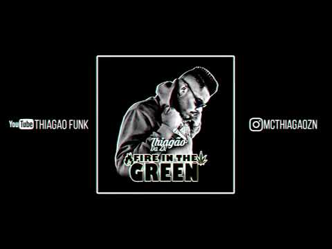 MC THIAGÃO DA ZN - FIRE IN THE GREEN (ELITE FUNK PRODUÇÕES)