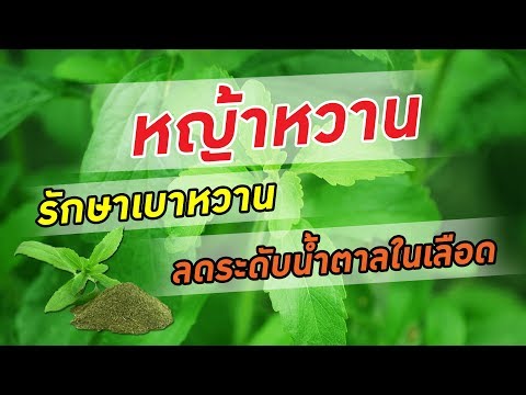เชื้อโรคหญิงที่เคาน์เตอร์โซซี การเตรียมการของค้อนของ ธ อร์