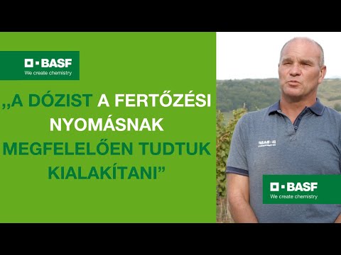 Delan® Pro tapasztalatok - Lizák Gábor