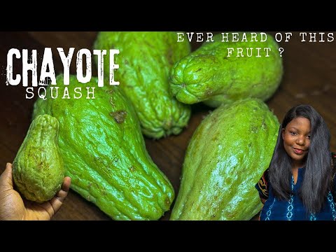 Discover chayote squash | Benefits and how to eat chayote + How to plant chayote