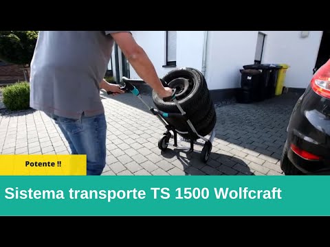 5525000_TS-1500-Transport-System_PRO_MCP_pt_2022.mp4