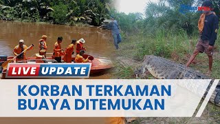 Warga Kecamatan Sei Menggaris yang Diterkam Buaya Sudah Ditemukan dalam Kondisi Meninggal