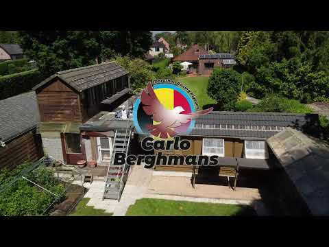 Carlo Berghmans - Mol