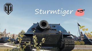 드디어 나온 슈투름티거