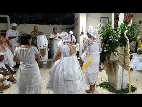 Curioso Muimbu Lemba traduzido