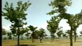 aye sanam aaj ye kasam khaye Lata -Talat - YouTube