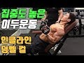 팔 운동 집중도 높은 이두운동 인클라인 덤벨 컬 봉우리 만들기