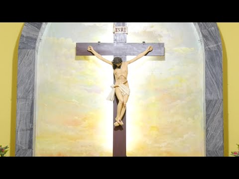 Sagrada Eucaristía🙏 Domingo 12 Febrero 11.00 am Desde La Parroquia San Rafael Arcángel Piedecuesta