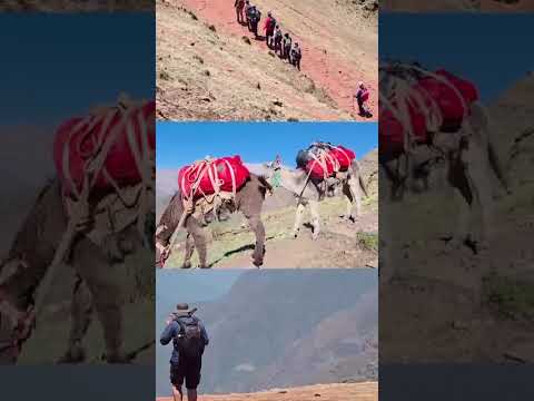 🌄 Trekking Tilcara – Calilegua con Armando ChuiChuy 🌿